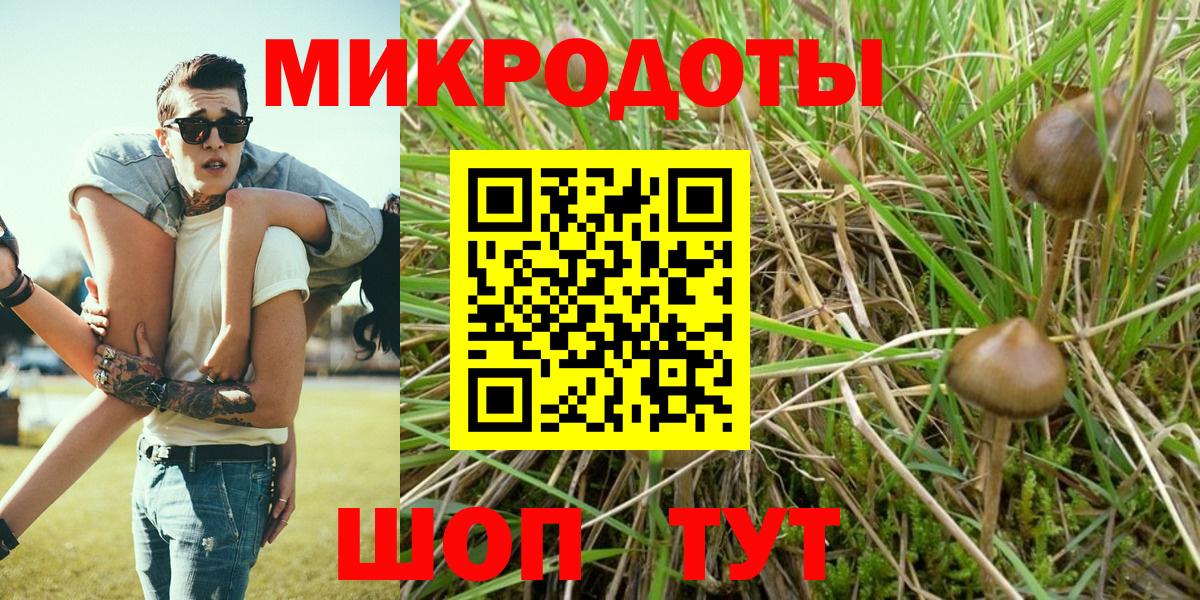 Галлюциногенные грибы прущие грибы  Галлюциногенные грибы ЛСД  где купить   Вязники  Вход с VPN 